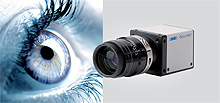 tx_auge_220.jpg