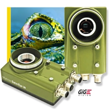 Matrox_GatorEye_4