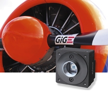 RAUSCHER_B_avA1000-100g