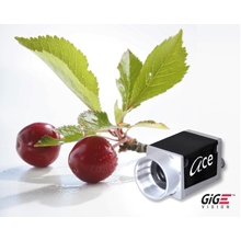 B_ace_acA640-90g